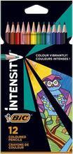 Sada pastelek "Intensity Up", 12 různých barev, trojúhelníkový tvar, BIC 9505273