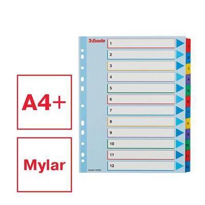 Zesílené rejstříky "Standard", popisovatelná titulní str., mix barev, karton, A4 Maxi, 1-12,  - 1