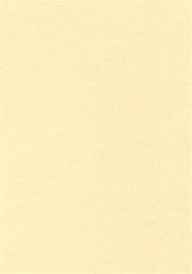 Papír, textura pergamen champange, A4, 95 g, APLI - 2