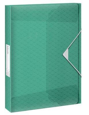 Box na spisy s gumičkou "Colour'Ice", zelená, 25 mm, PP, A4, ESSELTE - 2