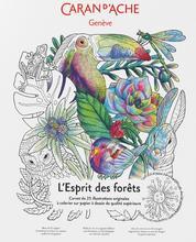 Kniha - omalovánky "L'Esprit des Forêts", CARAN D'ACHE 454.802