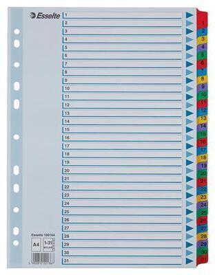 Zesílené rejstříky "Mylar", mix barev, karton, A4, 1-31, ESSELTE - 7