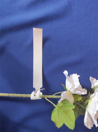Označovací páska, bílá, na sazenice, 248 x 25 mm, 1 000 pásek/kotouč