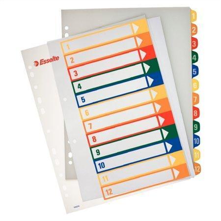 Rejstříky popisovatelné na počítači, transparentní, plast, A4 Maxi, 1-12, ESSELTE